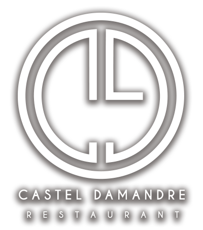 Logo Castel Damandre